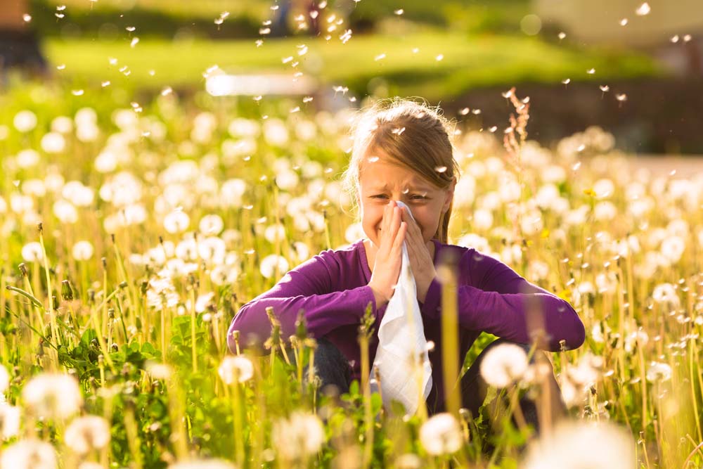 Kind mit Heuschnupfen im Heublumenfeld, vor Behandlung von Allergien bei Kindern in Salzburg